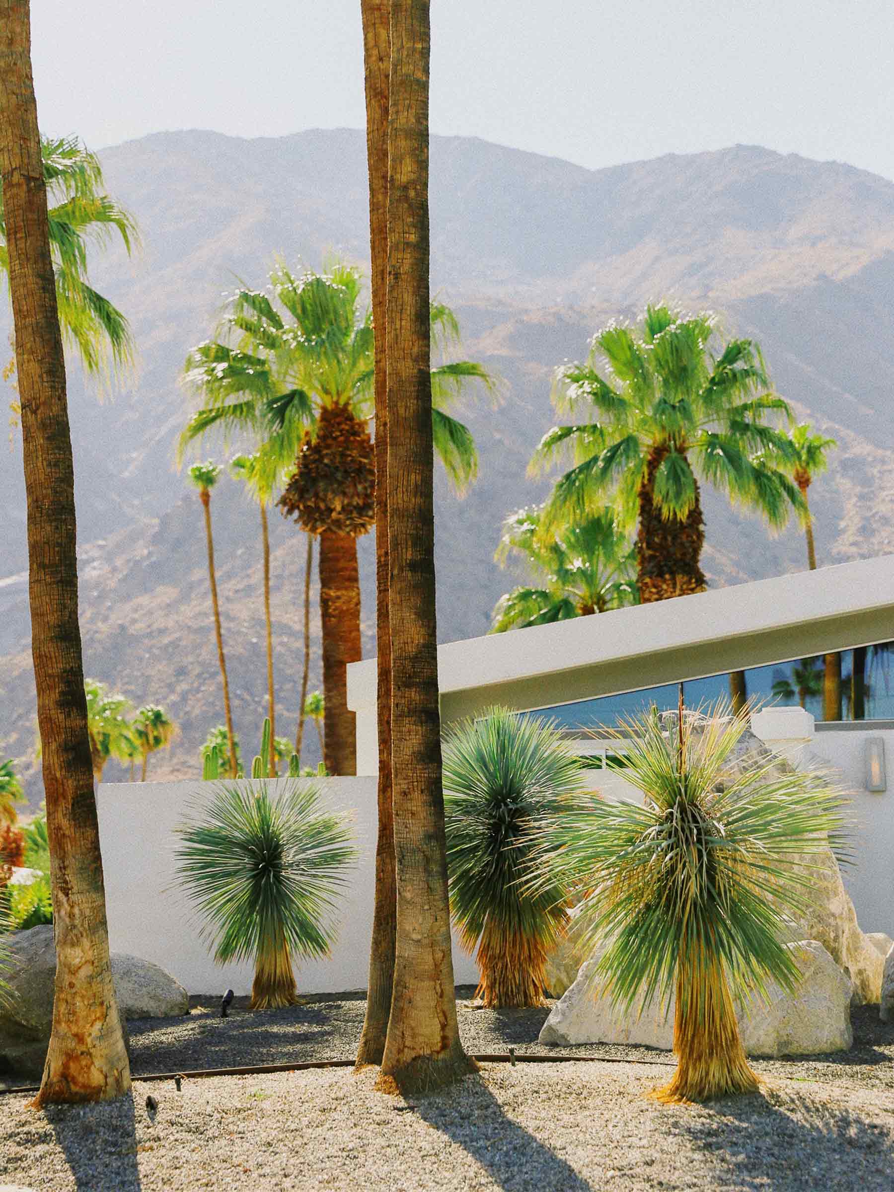 real-estate----luxury-home-in-Palm-Springs-CA